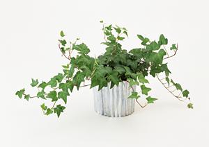 ジュークボックスを販売するお店について